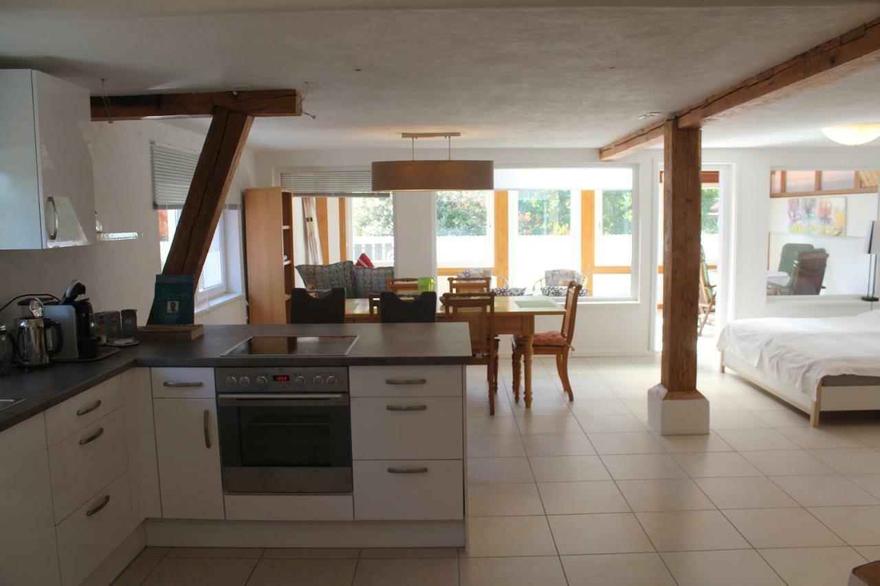 Ferienwohnung-Dorothe Rheinau Kültér fotó